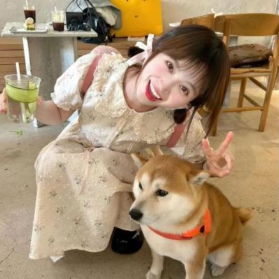 功夫兔与菜包狗第一季